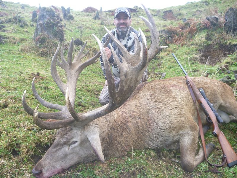 507 inch Redstag Anthony Caccia
