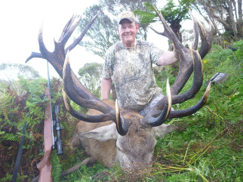 Red Stag